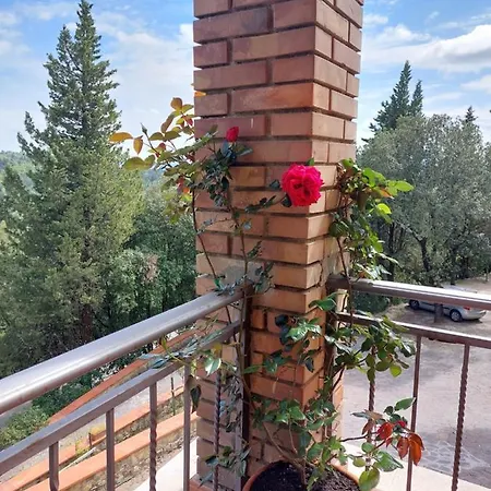 Casa Bruna - Cipresseta Del Chianti Apartment *