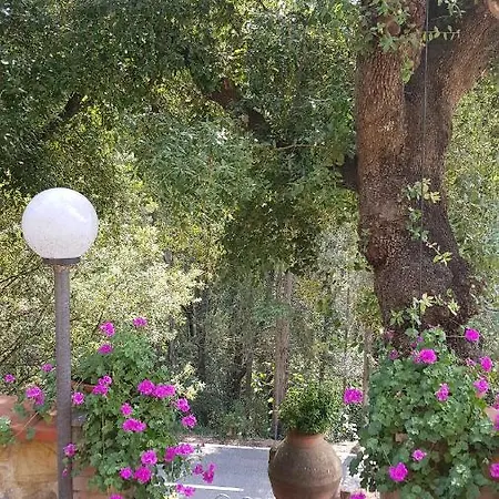 Casa Bruna - Cipresseta Del Chianti Appartamento *