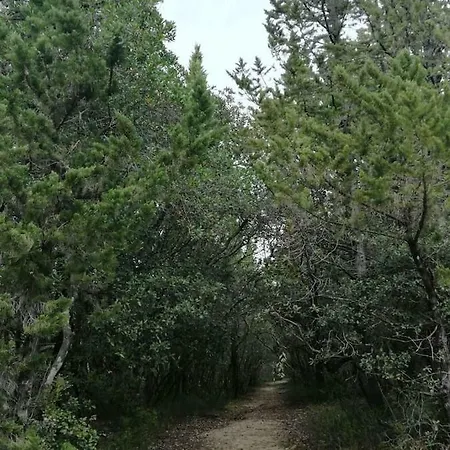 Casa Bruna - Cipresseta Del Chianti Appartamento *